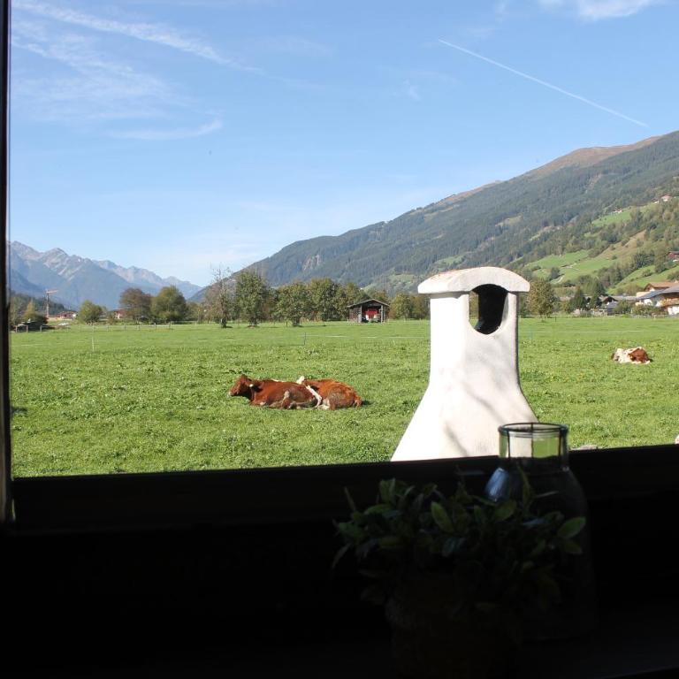 Ferienwohnung Smit mit Hohe Tauern sommercard - Appartement 1 Chambre - 5