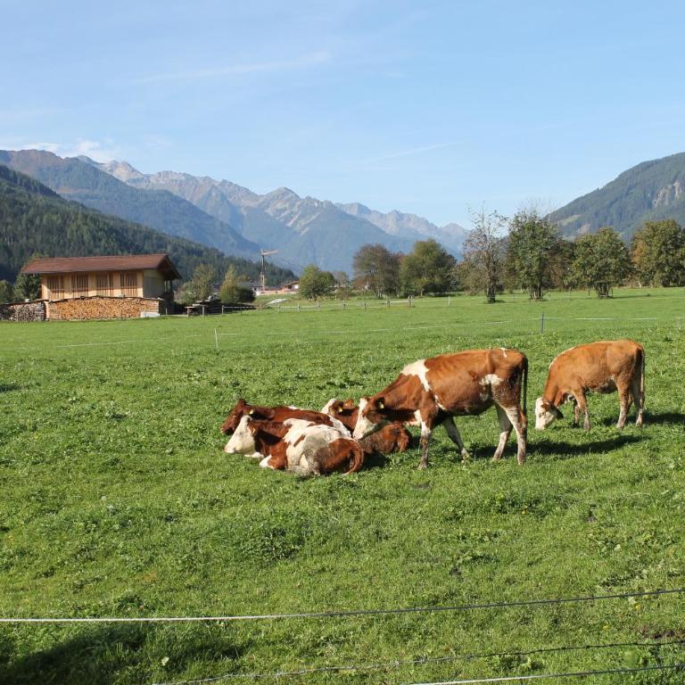Ferienwohnung Smit mit Hohe Tauern sommercard - Appartement 1 Chambre - 8