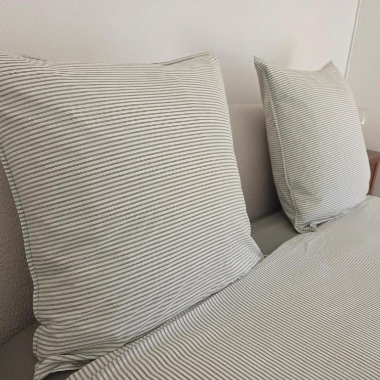 Palais Josephine Apartment - 5 meters to Monaco and free parking - Appartement 1 Chambre - 12