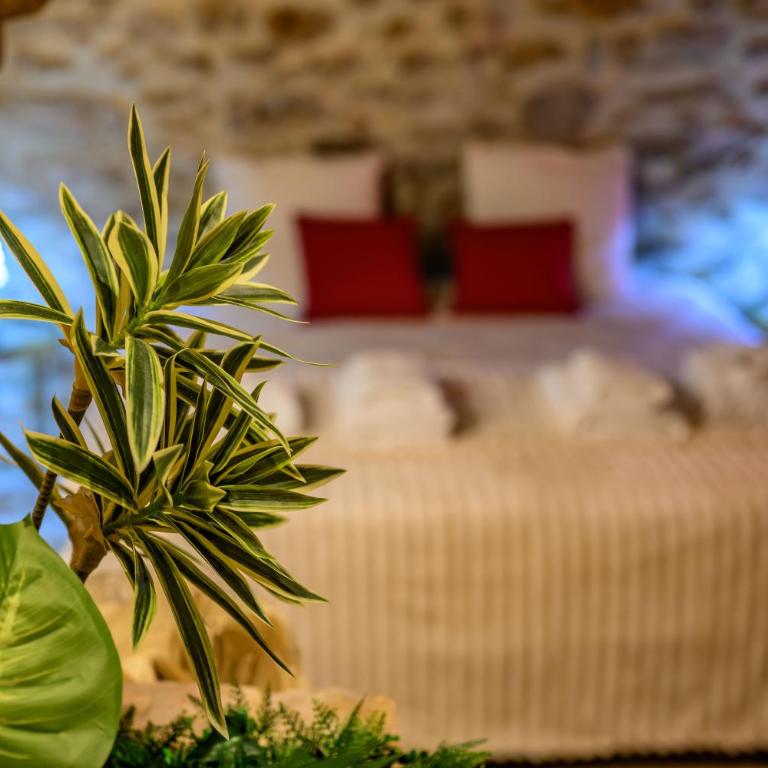 Suite Le Secret - Appartement 1 Chambre - 16