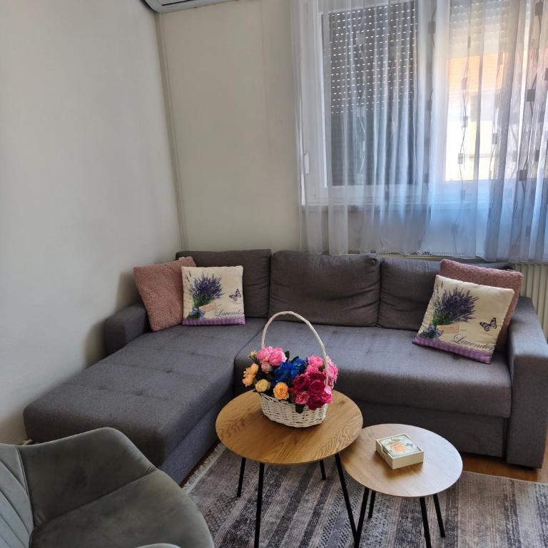 Welcome Apartman - Apartman sa 2 Spavaće Sobe - 1