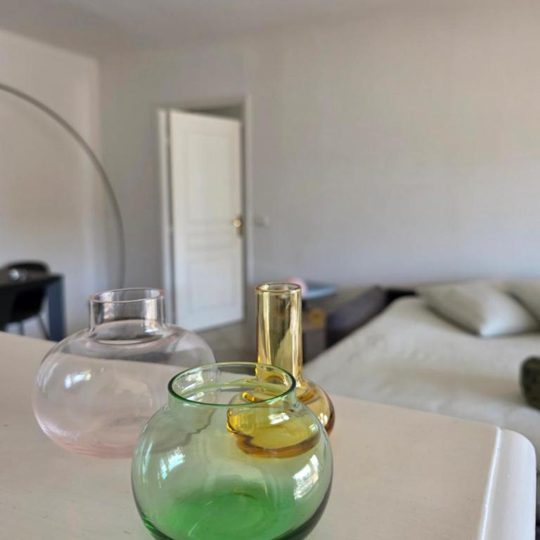 Palais Josephine Apartment - 5 meters to Monaco and free parking - Appartement 1 Chambre - 27