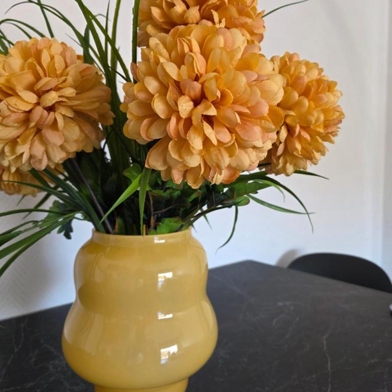 Palais Josephine Apartment - 5 meters to Monaco and free parking - Appartement 1 Chambre - 31
