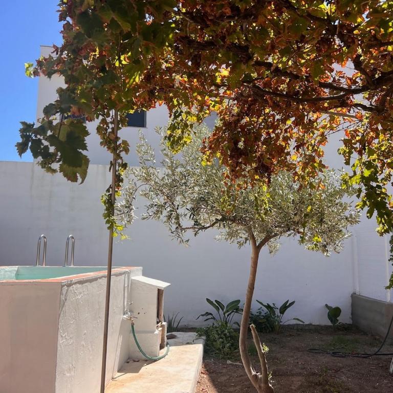 Blau Terranova LLevant - Private Garden & Pool - Apartamento de 1 dormitorio - 24