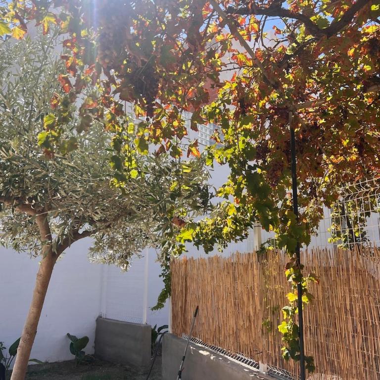 Blau Terranova LLevant - Private Garden & Pool - Apartamento de 1 dormitorio - 9