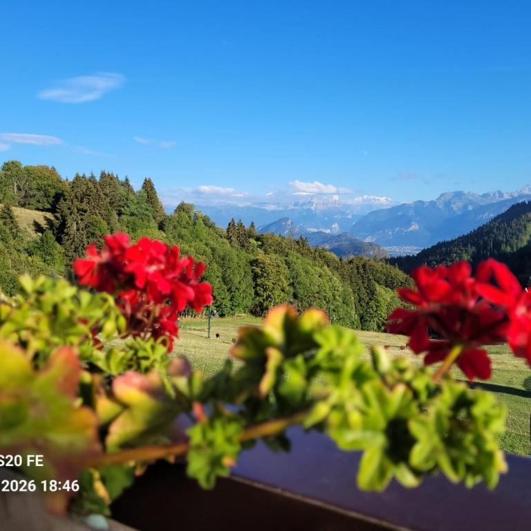 Vue exceptionnelle sur les Alpes - Appartement 1 Chambre - 9