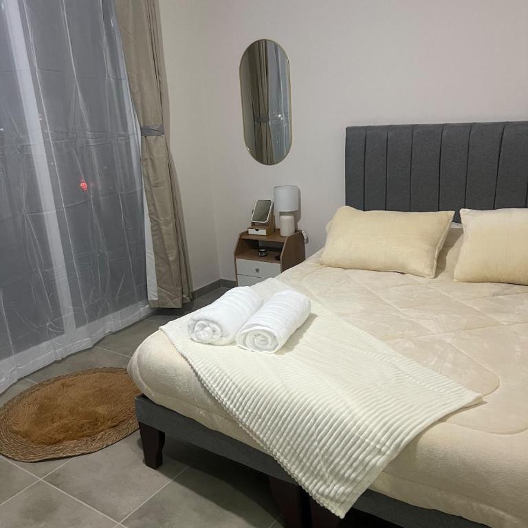 Departamento Studio Conce - One-Bedroom Apartment - 4