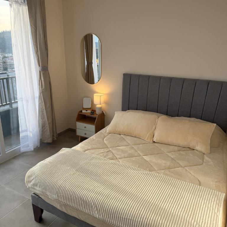 Departamento Studio Conce - One-Bedroom Apartment - 6