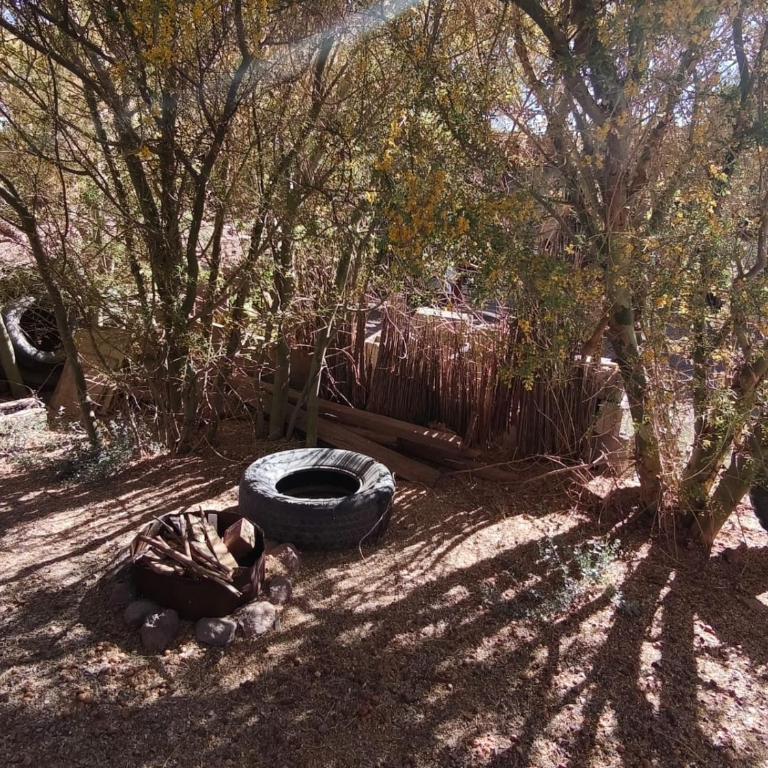 Casita de Descanso - One-Bedroom Apartment - 6