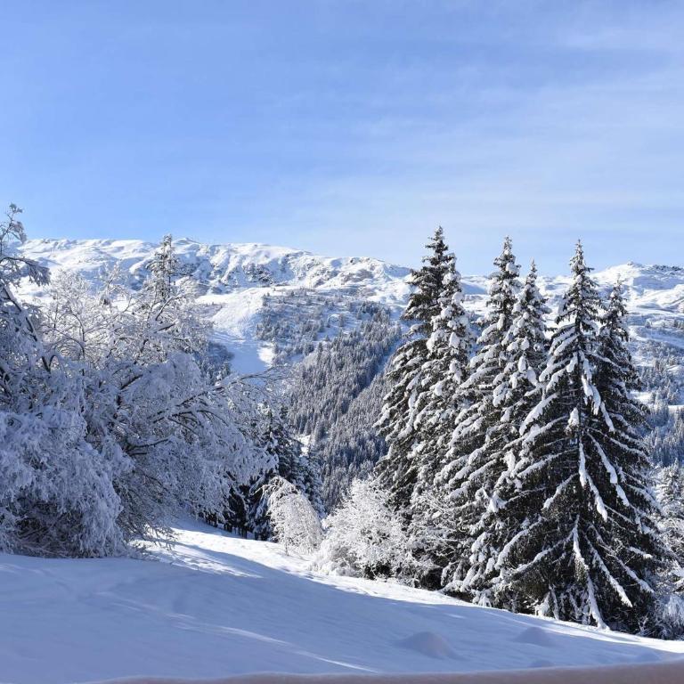 Appartement accueillant près des pistes - 6 pers. - FR-1-180-540 - Appartement (6 Adultes) - 24