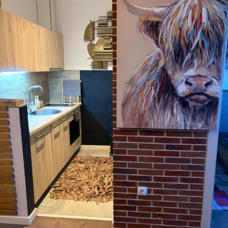 Аpartman 511 Zupa - Apartman sa 1 Spavaćom Sobom - 6