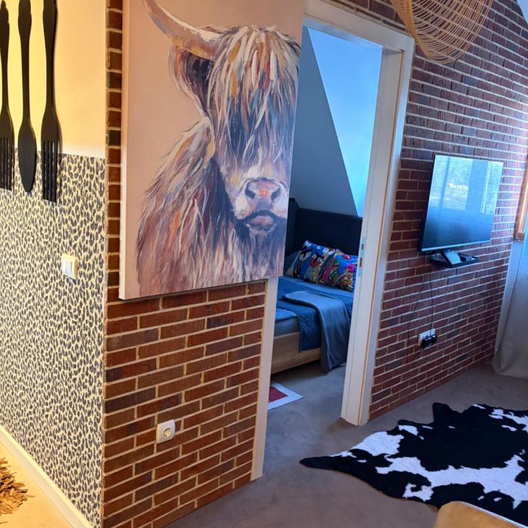 Аpartman 511 Zupa - Apartman sa 1 Spavaćom Sobom - 7