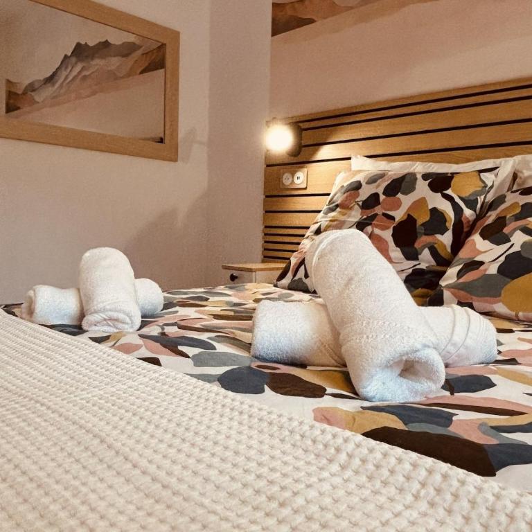Cocon Castetnau, au calme centre-ville Pau 39 m2 - Appartement 1 Chambre - 3
