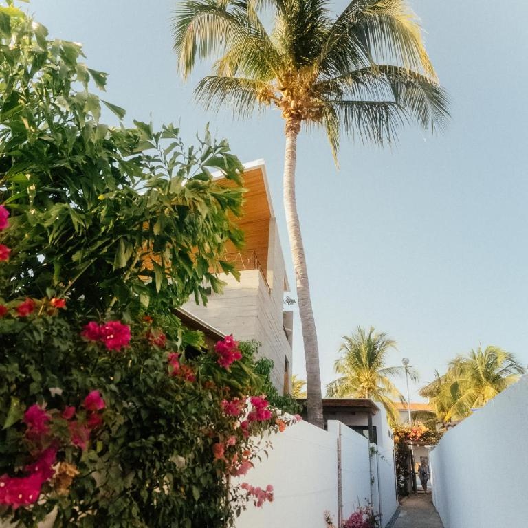Luna and Pelicano - Elegant Twin Oceanfront Villas - Villa - 38