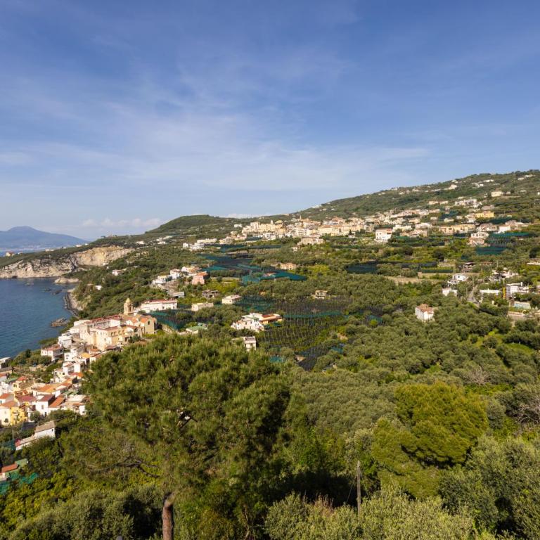 SorrentoVibes - Villa Panorama with private pool & view - Villa con 3 Camere da Letto - 14