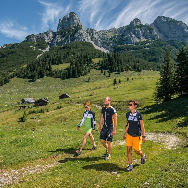 Chalets-Dachstein-West - Chalet mit 3 Schlafzimmern - 39