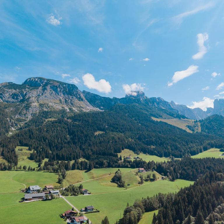 Chalets-Dachstein-West - Chalet mit 3 Schlafzimmern - 35