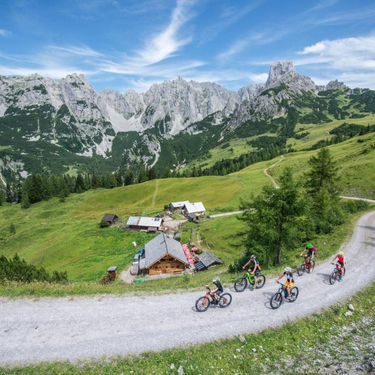 Chalets-Dachstein-West - Chalet mit 3 Schlafzimmern - 41