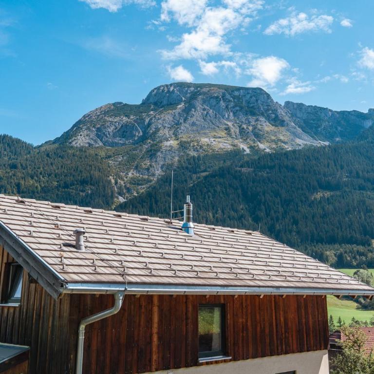 Chalets-Dachstein-West - Chalet mit 3 Schlafzimmern - 34