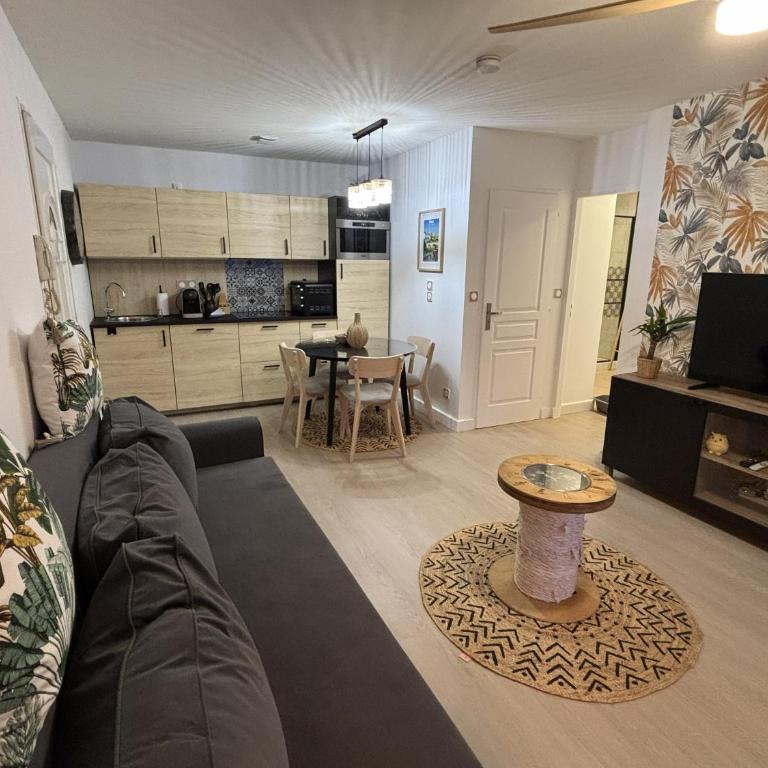 Cocon Castetnau, au calme centre-ville Pau 39 m2 - Appartement 1 Chambre - 1