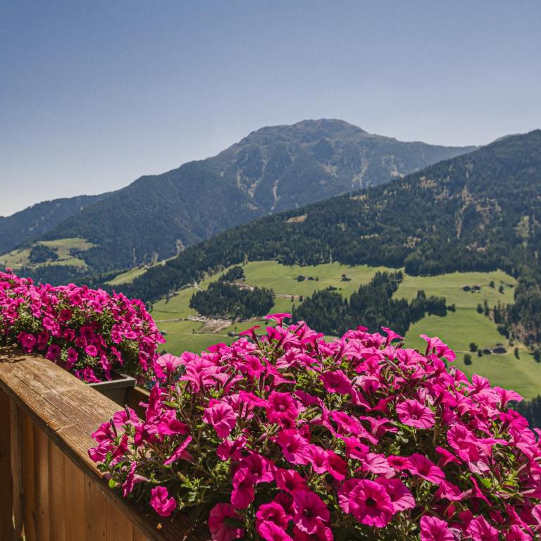 Ferienwohnungen Zeppenhof - Appartement avec Vue sur la Montagne - 21