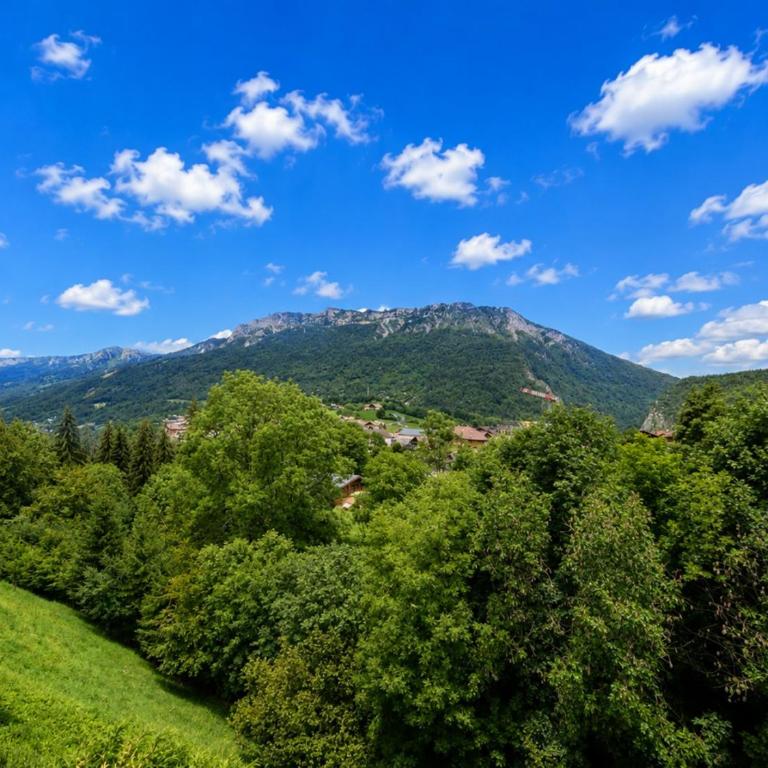 Bel appartement lumineux, 8 pers, vue montagne - Appartement 3 Chambres - 1