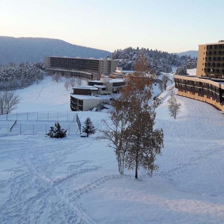 Grand Studio 42 m2 avec loggia vues montagne et pistes parking et navettes gratuites - Studio - Vue sur Montagne - 2