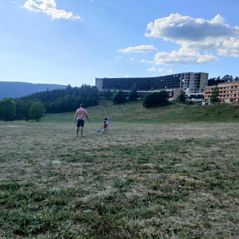 Grand Studio 42 m2 avec loggia vues montagne et pistes parking et navettes gratuites - Studio - Vue sur Montagne - 33
