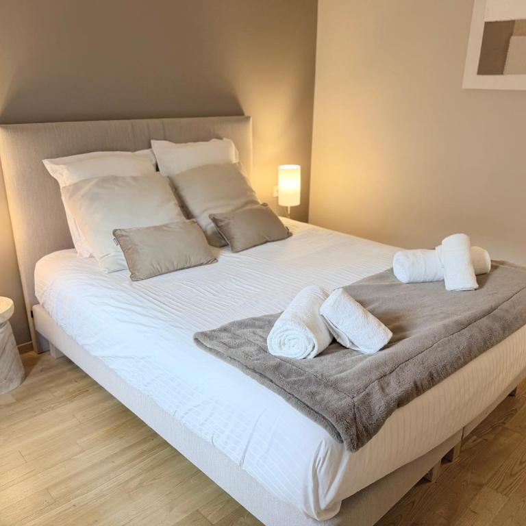 Moka - Grand appartement 6 places à Colmar - Appartement 2 Chambres - 22