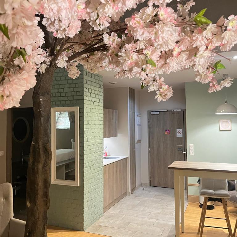 La Parenthèse Envoutée - Appartement 1 Chambre - 4