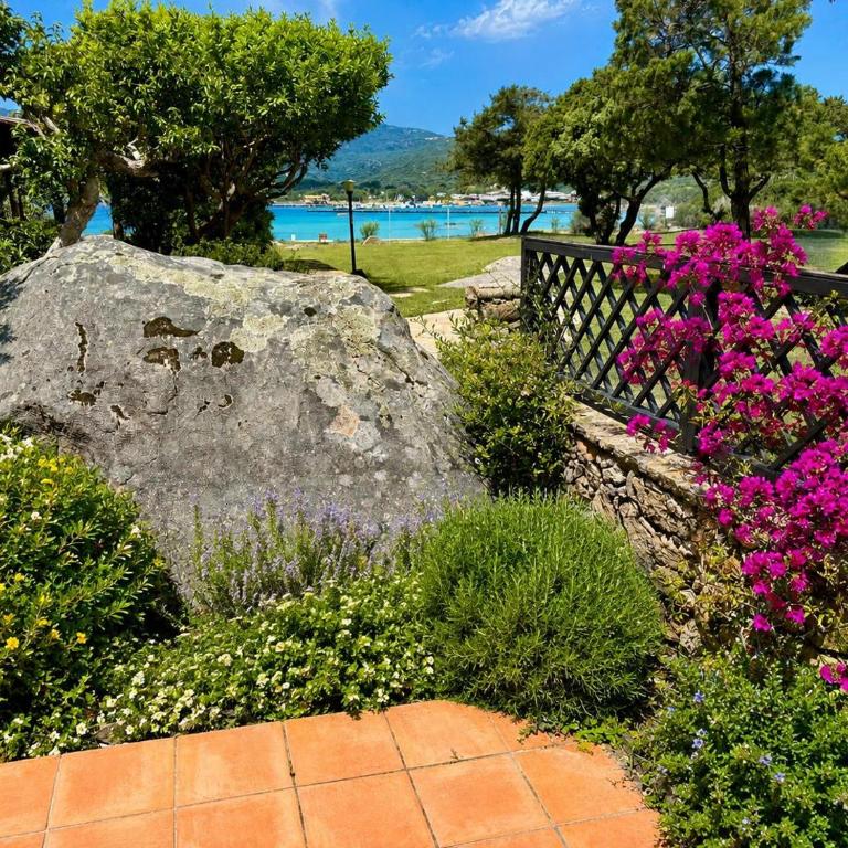 Casa degli Asfodeli - Porto Rotondo - Appartamento con 1 Camera da Letto - 6