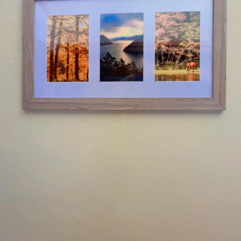Nothofagus - One-Bedroom Apartment - 5