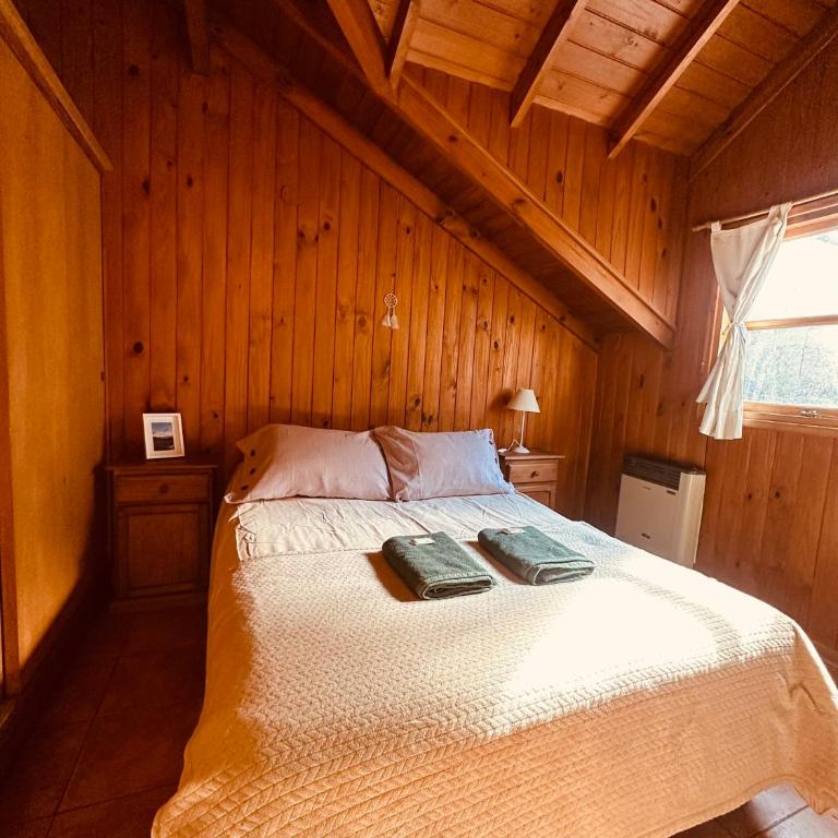 Nothofagus - One-Bedroom Apartment - 8
