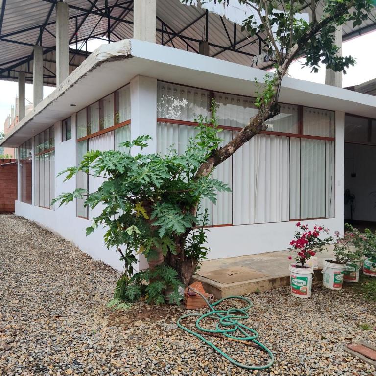 Emilu House - Three-Bedroom House - 1