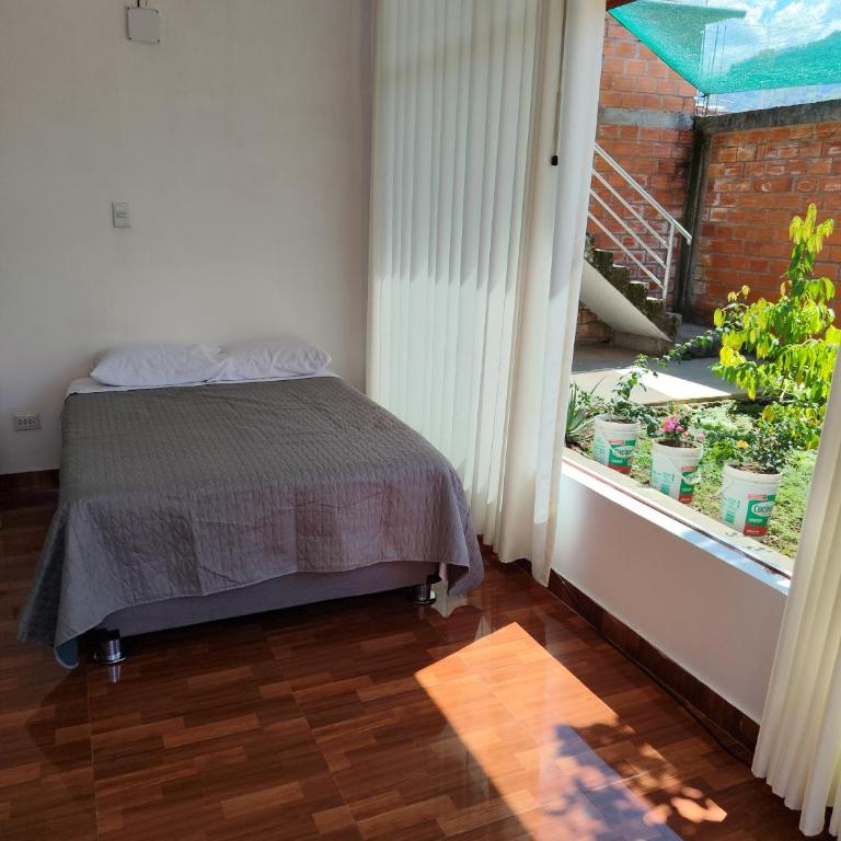Emilu House - Three-Bedroom House - 3