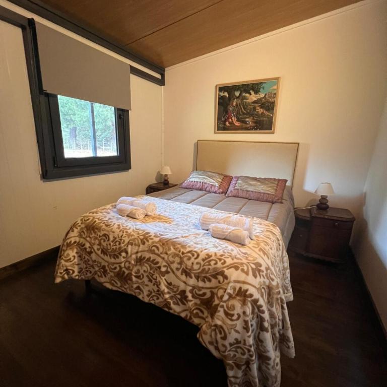 Casa en el río Meliquina - Two-Bedroom House - 14