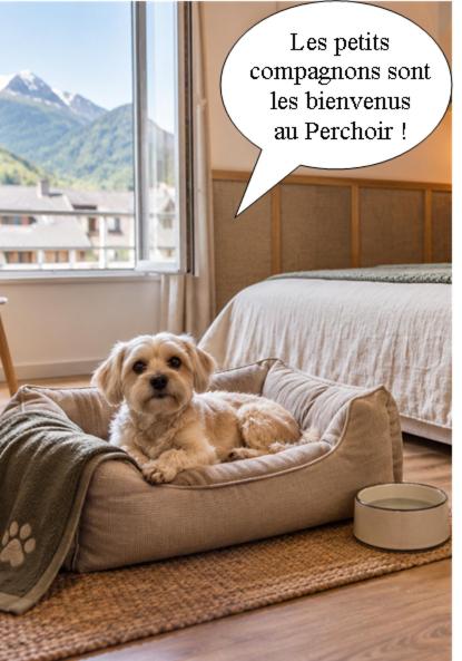 Le Perchoir d'Etigny , Cocon 2 pers, Parking souterrain, Thermes et Cabines - Appartement 1 Chambre - 34