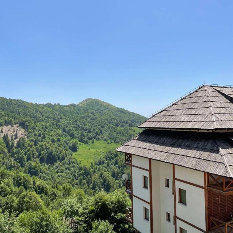 Apartments Harry - ZONED I & II SPA Kopaonik, Special benefits for children up to 13 years of age free service accompanied by parents - Apartment mit 1 Schlafzimmer und Terrasse - 4