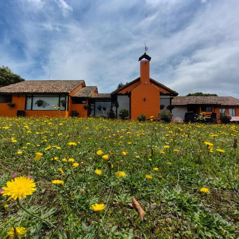 Finca Chiala - Habitación Triple - 31
