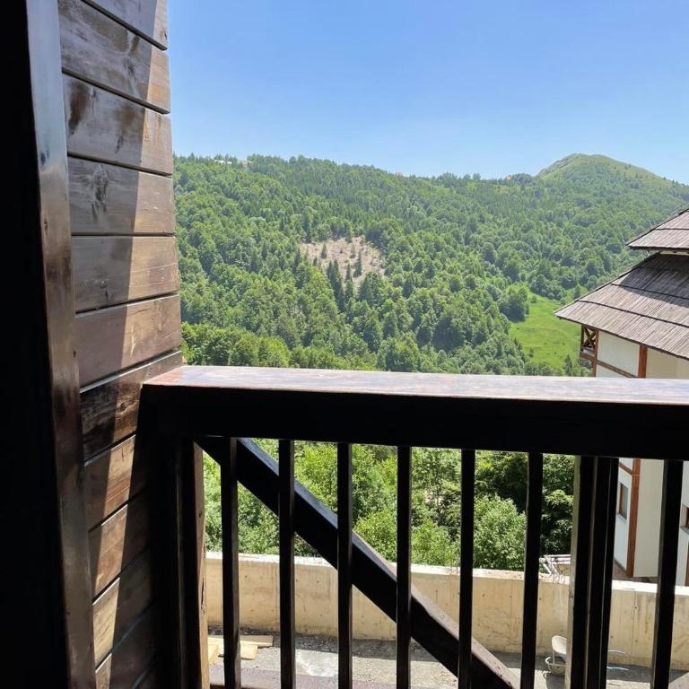 Apartments Harry - ZONED I & II SPA Kopaonik, Special benefits for children up to 13 years of age free service accompanied by parents - Apartment mit 1 Schlafzimmer und Terrasse - 14
