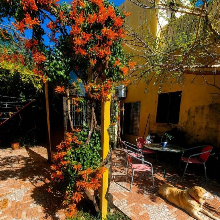 Amplia casa familiar-patio y parrilla - Two-Bedroom House - 4