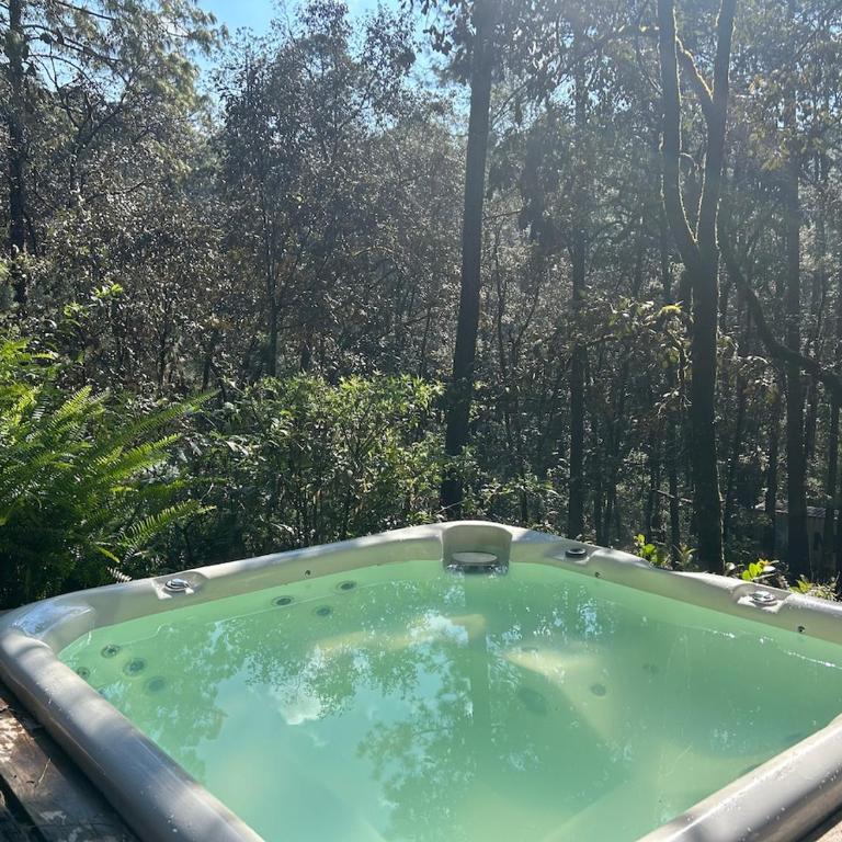 Container House en el bosque con jacuzzi privado - Chalet de 2 dormitorios - 4