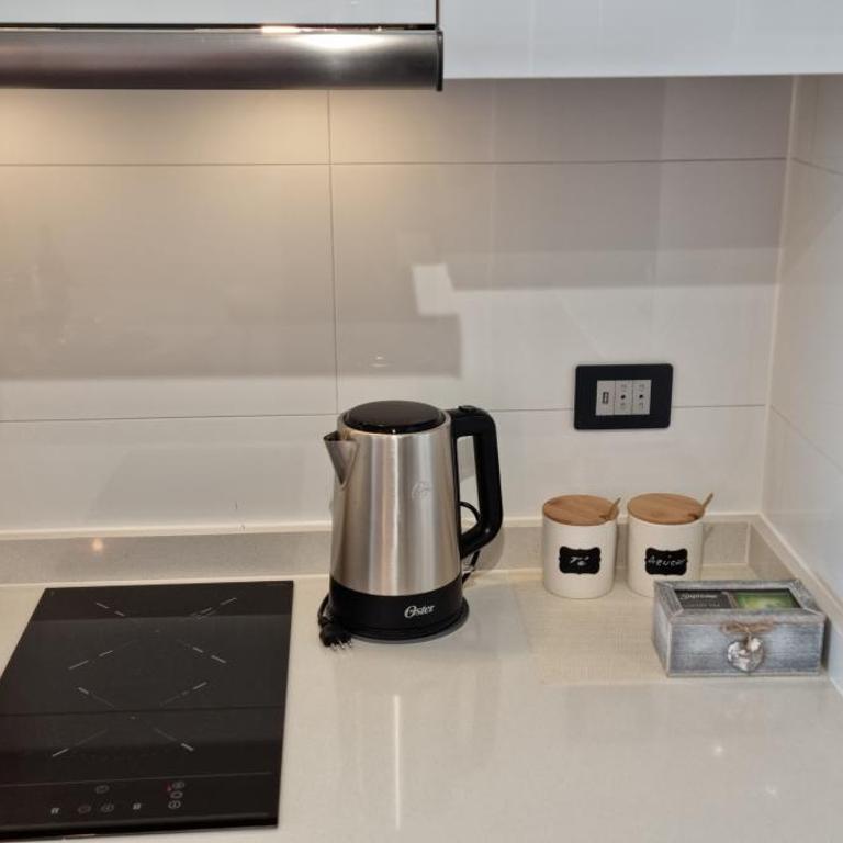 Departamento 1D 1B 1E con balcon en peninsula al lado de Playa Cavancha - Apartamento de 2 dormitorios - 6