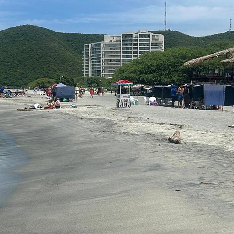 Apto Frente a la playa, Edificio Wind, Playa Salguero - Apartamento de 1 dormitorio - 9