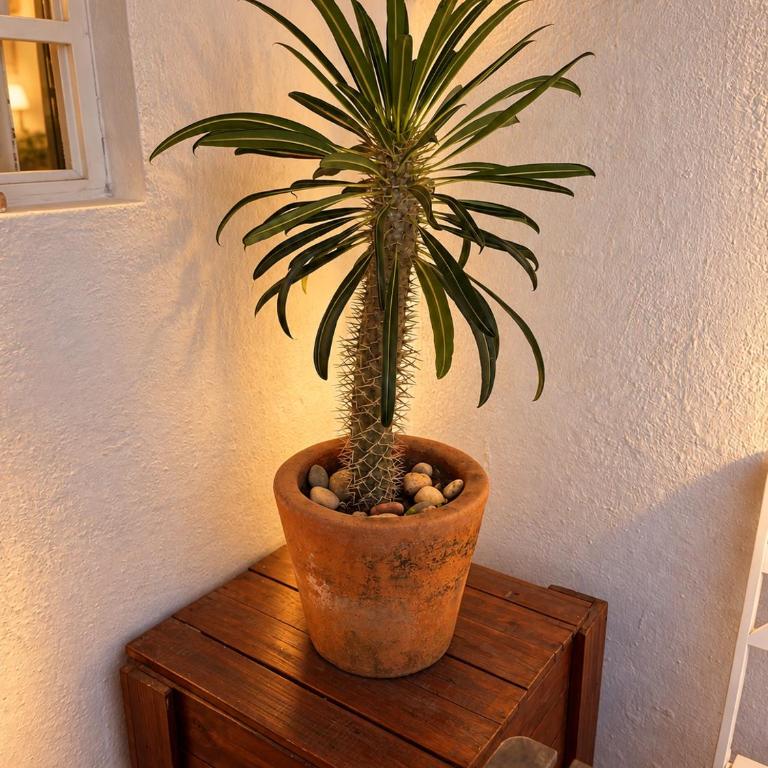 Le Petit Bonheur - Quiet - Rooftop - 3 min to Beach - One-Bedroom Apartment - 19