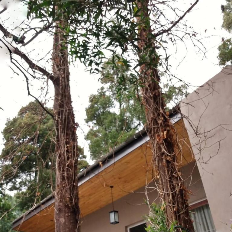 Casa Orilla, Bosque Peralta Ramos - Two-Bedroom House - 31