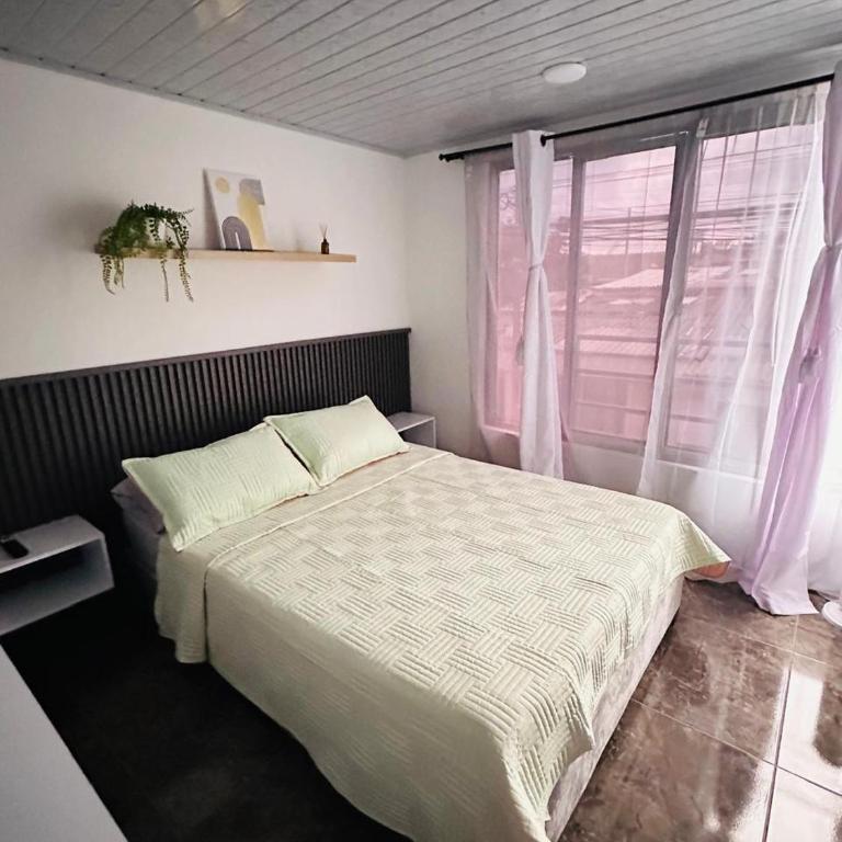 BRUMA Apartasuite Circasia - Apartamento de 2 dormitorios - 2