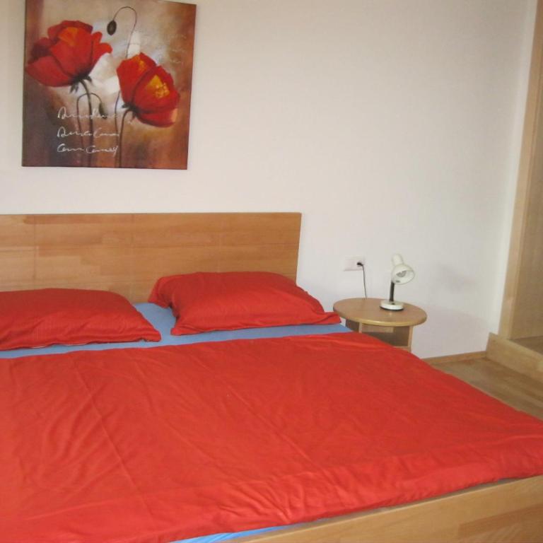 Haus Rainer - Appartement 2 Chambres - 15