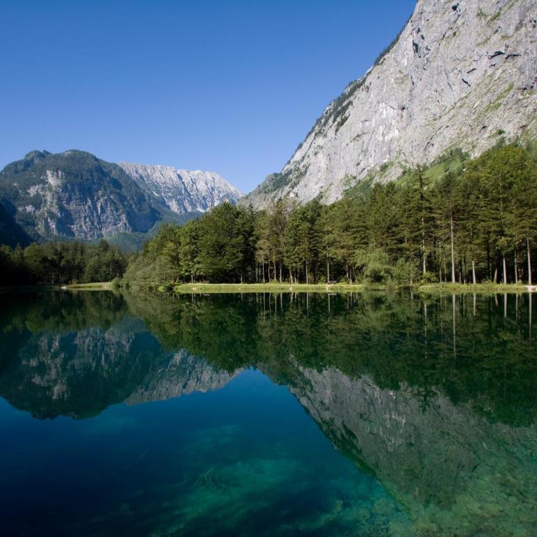 Forest Chalet, all famous ski areas around us, 15 min to city of salzburg, mountainview, panorama sauna, bath whirlpool, fire pit in garden up to 10 p - Haus mit 4 Schlafzimmern - 26