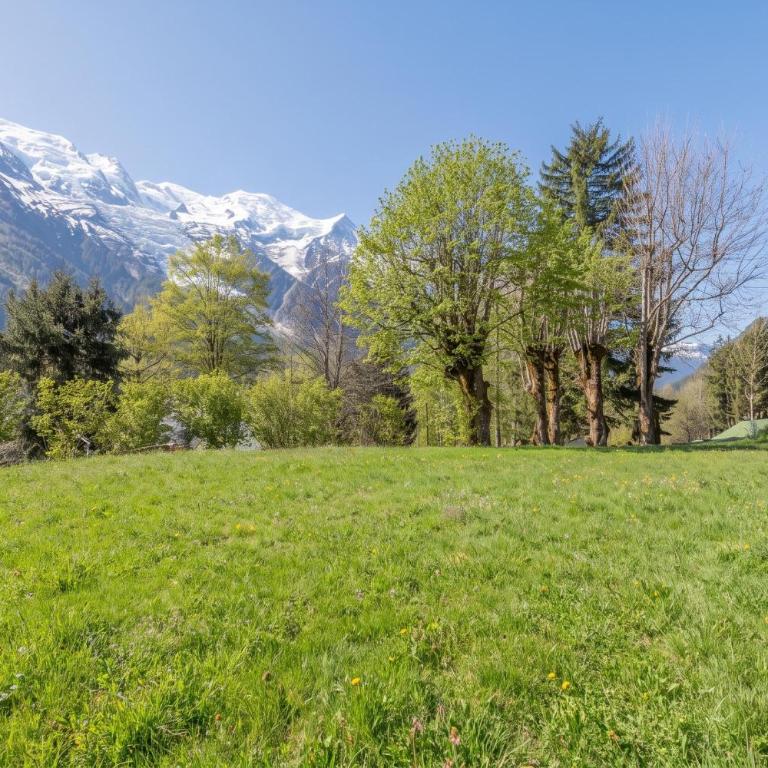 Chalet Les Airelles Mont-Blanc View - Happy Rentals - Chalet - 31